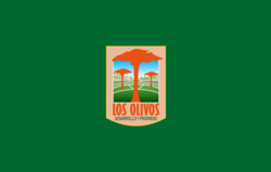 Bandera de Los Olivos